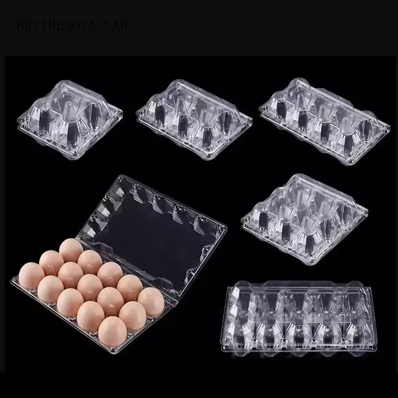 Event Party Box - 20pcs Disposable Plastic Egg Box Transparent